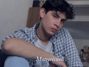 Mateoriswell