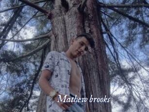 Mathew_brooks