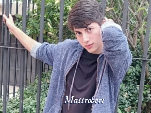 Mattrobert