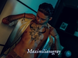 maximilianogray Cam 5