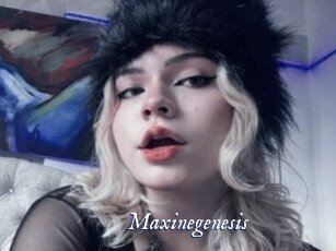 Maxinegenesis