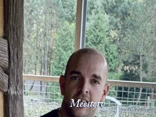 Meesterv
