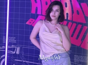 Meganfelt