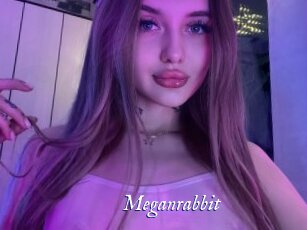 Meganrabbit