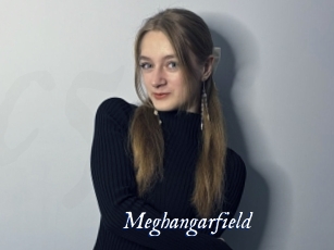 Meghangarfield