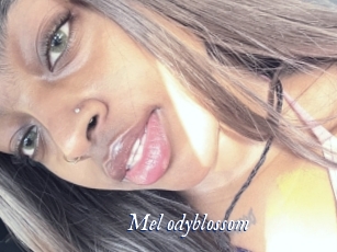 Mel_odyblossom