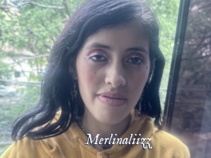 Merlinaliizz