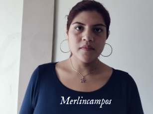 Merlincampos