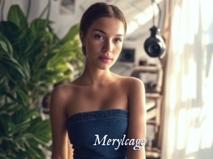 Merylcage