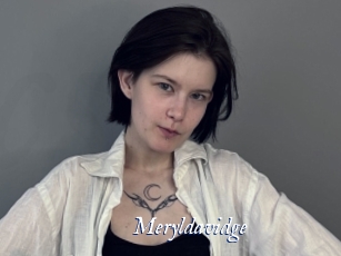 Meryldavidge