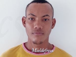 Mieldefresa