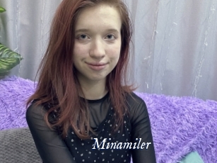 Minamiler