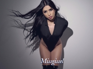 Missgissel