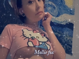 Mollie_fox