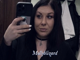 Mollyblizard