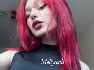 Mollycodle