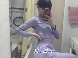 Monibleisi