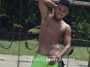 Mulatto_hunky_breaker