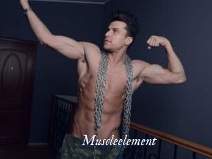 Muscleelement