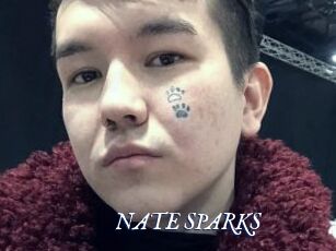 NATE_SPARKS