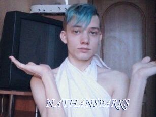 NATHAN_SPARKS