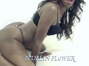 NUBIAN_FLOWER