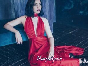NaryaSpace