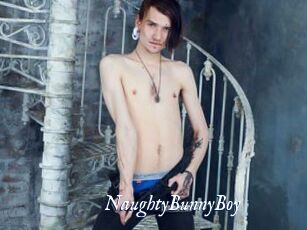NaughtyBunnyBoy