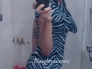 Naughtyniceness