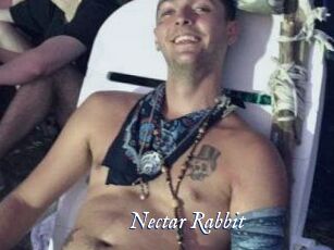 Nectar_Rabbit