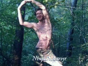 NinjaDickstroyr