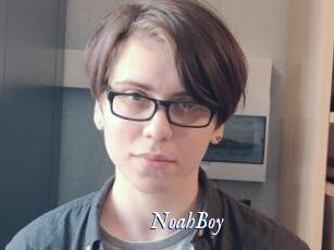 NoahBoy