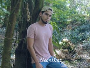 NoahDiaz