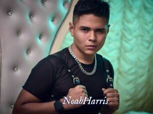 NoahHarris