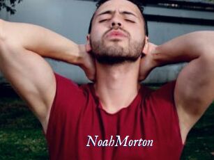 NoahMorton