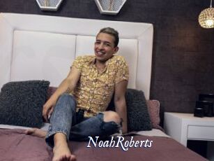 NoahRoberts