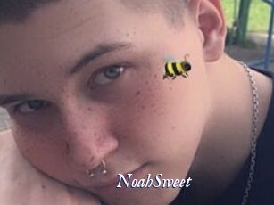 NoahSweet