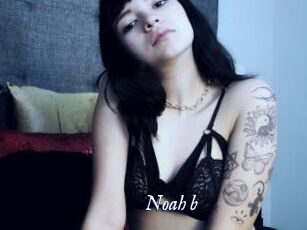 Noah_b