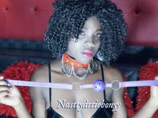 Nasttydrtiebonyy