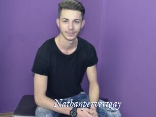 Nathanpervertgay