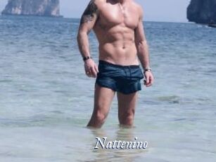 Nattenino
