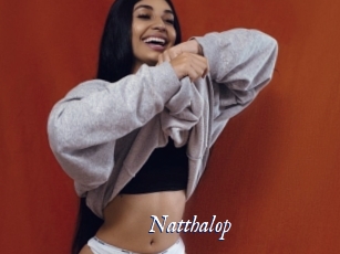 Natthalop