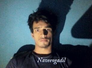 Naveengadil