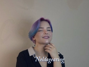 Neldagearing