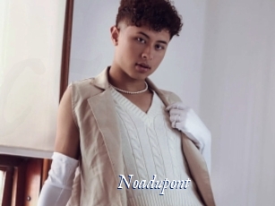 noadupont Cam 5