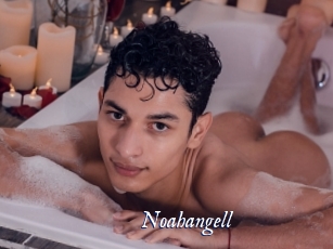 Noahangell