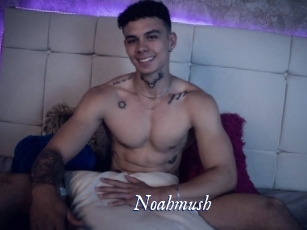 noahmush Cam 5