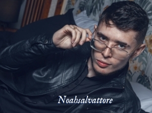 Noahsalvattore