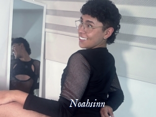 Noahsinn