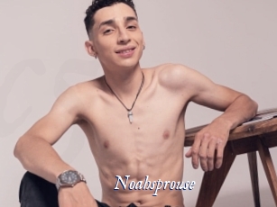 Noahsprouse